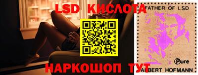 тгк Бийск