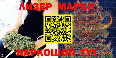тгк Бийск