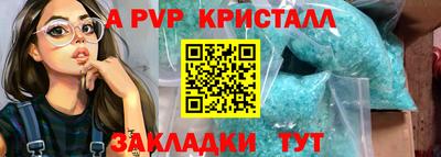 тгк Бийск