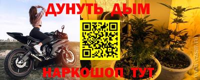 тгк Бийск