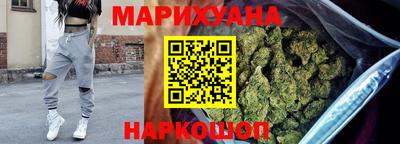тгк Бийск