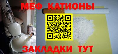 тгк Бийск